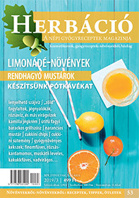 HERBÁCIÓ MAGAZIN 53. LAPSZÁM, digitális kiadás